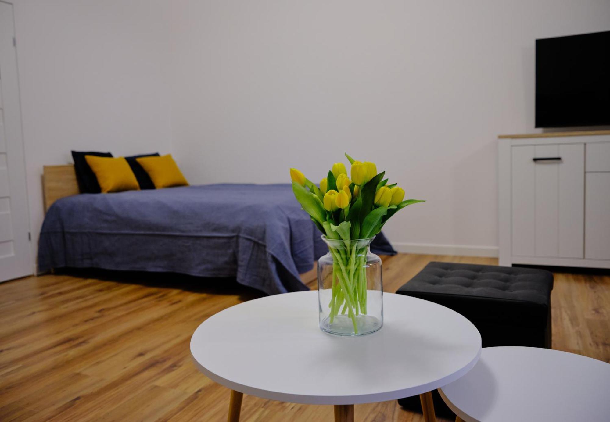 Urania Apartamenty Kowary Oda fotoğraf